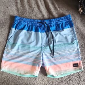 Hurley Men’s Blue Gradient Stripe Swim Trunks with Pastel Accents